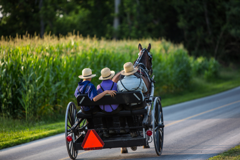 Three young Amish men in open buggy