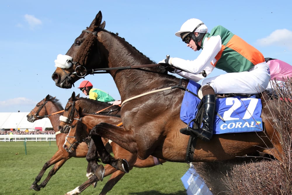 Grand National runners on the track