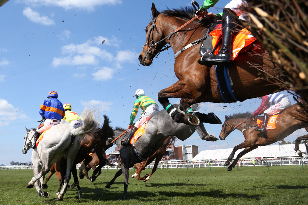 horses and jockeys in action during a race