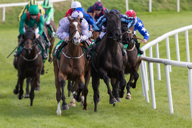 Horse race on grass track