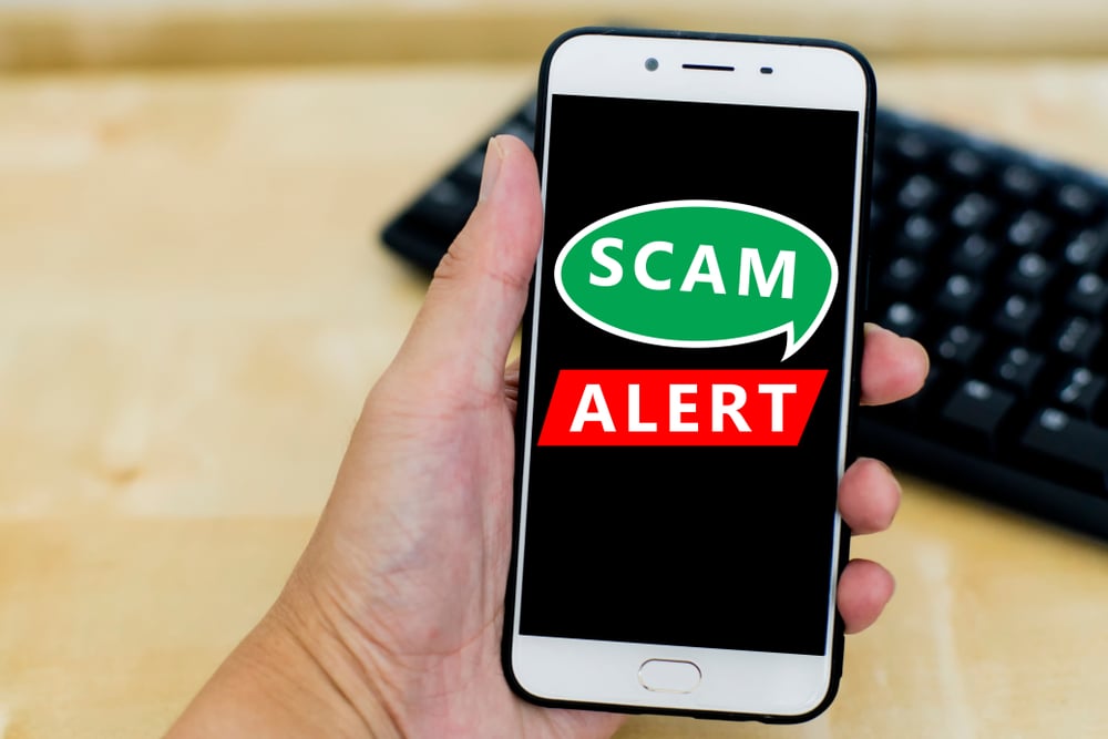 hand holding a cellphone with its screen containing the words scam alert