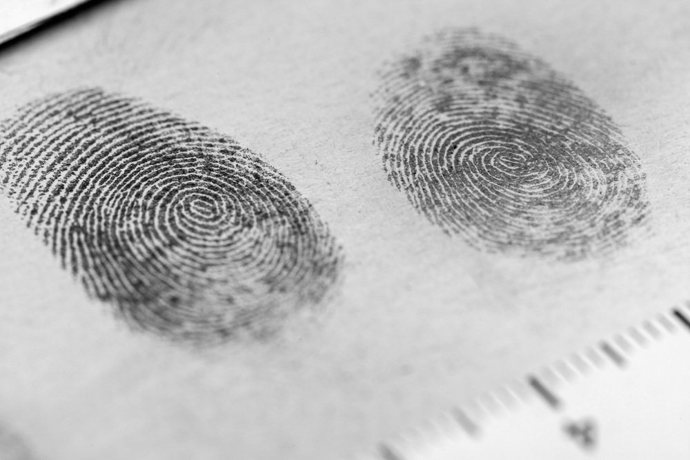 fingerprints in crime investigation