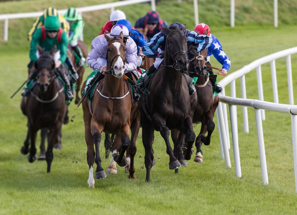 jockeys riding horses on a race track